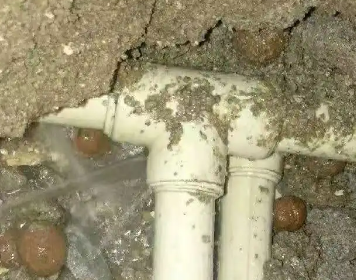 永寿测漏水多少钱