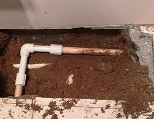 永寿测漏水哪家好