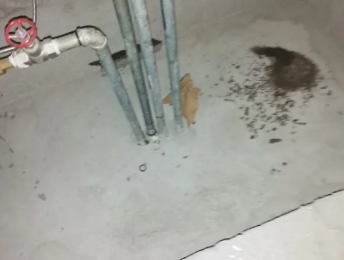 永寿卫生间测漏水价格明细